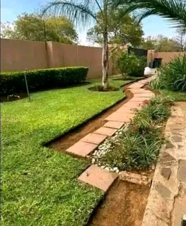 Green grass fresh from the farm