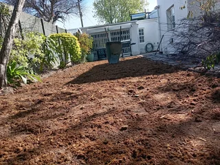 Green grass fresh from the farm