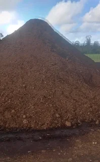 Green grass fresh from the farm