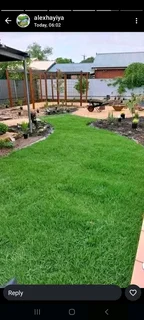 Green grass fresh from the farm