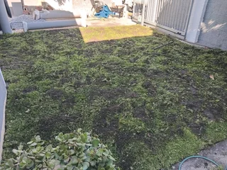 Quality grass from the farm