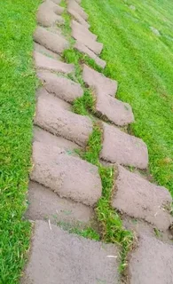 Quality grass from the farm