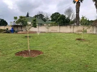 Quality grass from the farm