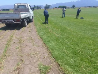 Quality grass from the farm