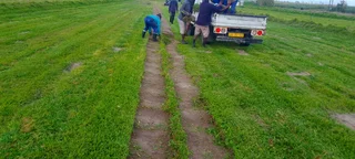 Quality grass from the farm