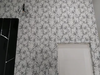 Centurion professional wallpaper installer