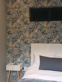 Sandton professional wallpaper installer