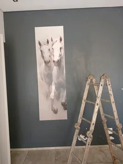 Sandton professional wallpaper installer