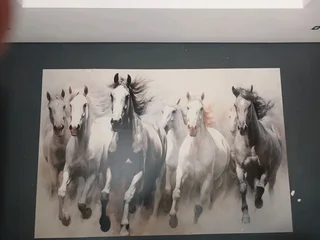 Sandton professional wallpaper installer