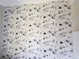 Randburg professional wallpaper installer