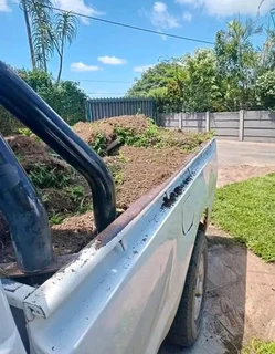 Kikuyu, Buffalo, Lm Berea graas and etc