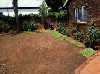 Kikuyu, Buffalo, Lm Berea graas and etc