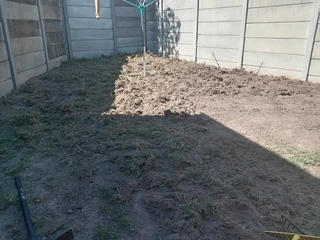 Kikuyu, Buffalo, Lm Berea graas and etc