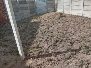 Kikuyu, Buffalo, Lm Berea graas and etc