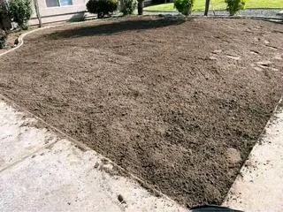 Kikuyu, Buffalo, Lm Berea graas and etc