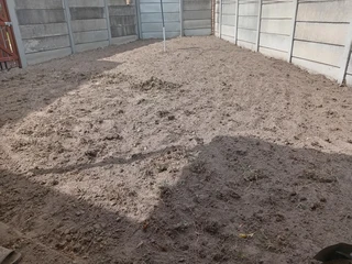 Kikuyu, Buffalo, Lm Berea graas and etc