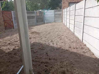 Kikuyu, Buffalo, Lm Berea graas and etc