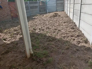 Kikuyu, Buffalo, Lm Berea graas and etc