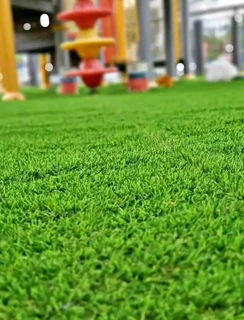 Kikuyu grass and etc