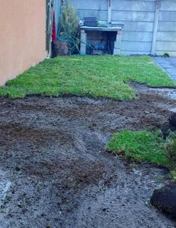 Kikuyu grass and etc