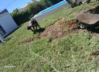 Kikuyu grass and etc