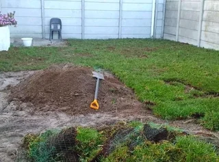 Kikuyu grass and etc