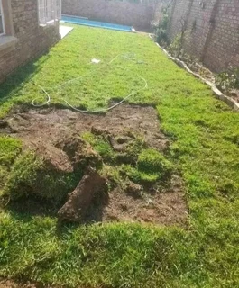 Kikuyu grass and etc