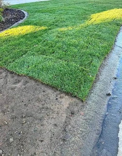 Kikuyu grass and etc