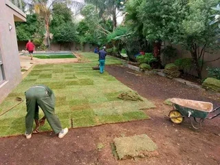 Kikuyu grass and etc