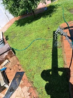 Kikuyu grass and etc