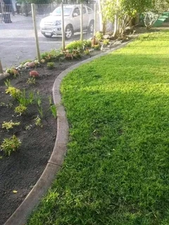 Kikuyu grass and etc