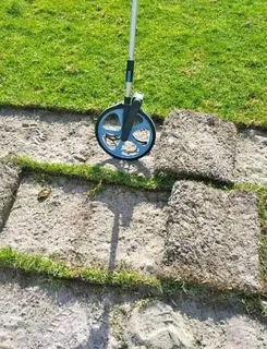 Kikuyu grass and etc