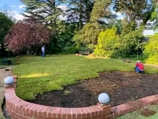 Kikuyu grass and etc