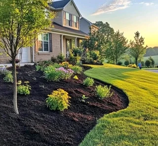 Kikuyu grass and etc