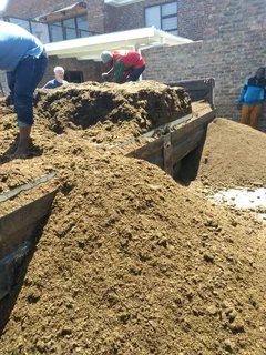 Kikuyu grass and etc