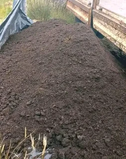 Kikuyu grass and etc