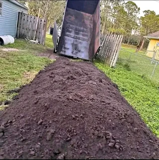 Kikuyu grass and etc