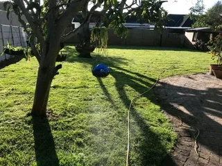 Kikuyu grass and etc