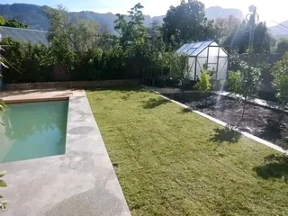 Kikuyu grass and etc