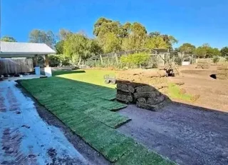 Kikuyu grass and etc