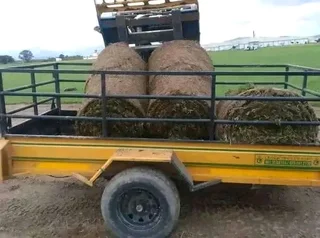 Kikuyu grass and etc