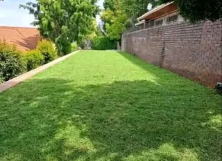 Kikuyu grass and etc