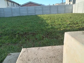 Kikuyu grass and etc