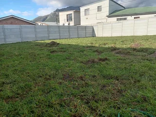 Kikuyu grass and etc