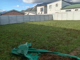 Kikuyu grass and etc