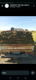 Kikuyu grass and etc