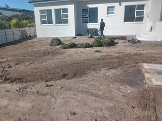 Kikuyu grass and etc