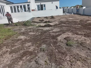 Kikuyu grass and etc