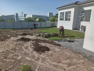 Kikuyu grass and etc