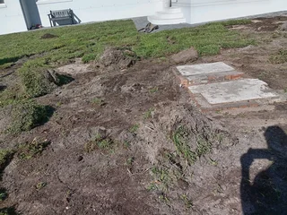 Kikuyu grass and etc